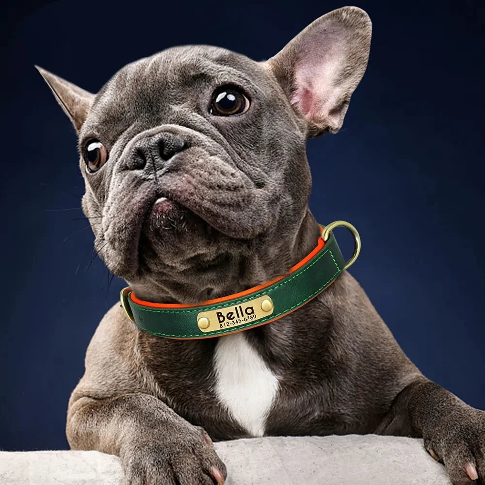 Collar para Cães Personalizado com Gravação