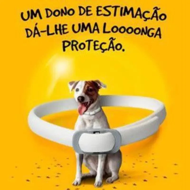 Colar para Cães e Gatos Pequenos - Conforto e Estilo para seu Pet