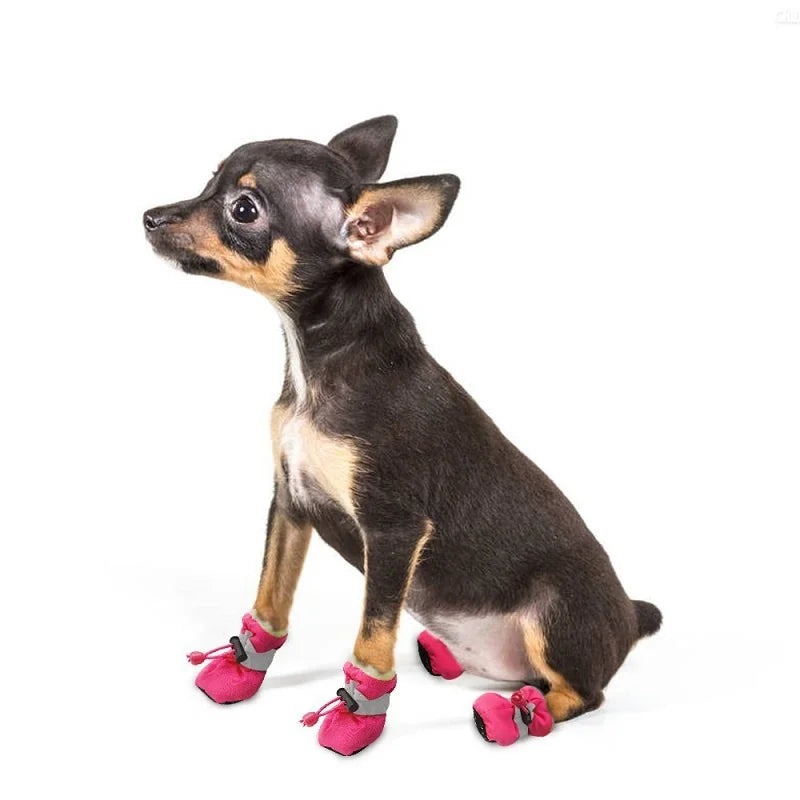 Conjunto de Botas Impermeáveis para Cães e Gatos - Antiderrapantes e Confortáveis