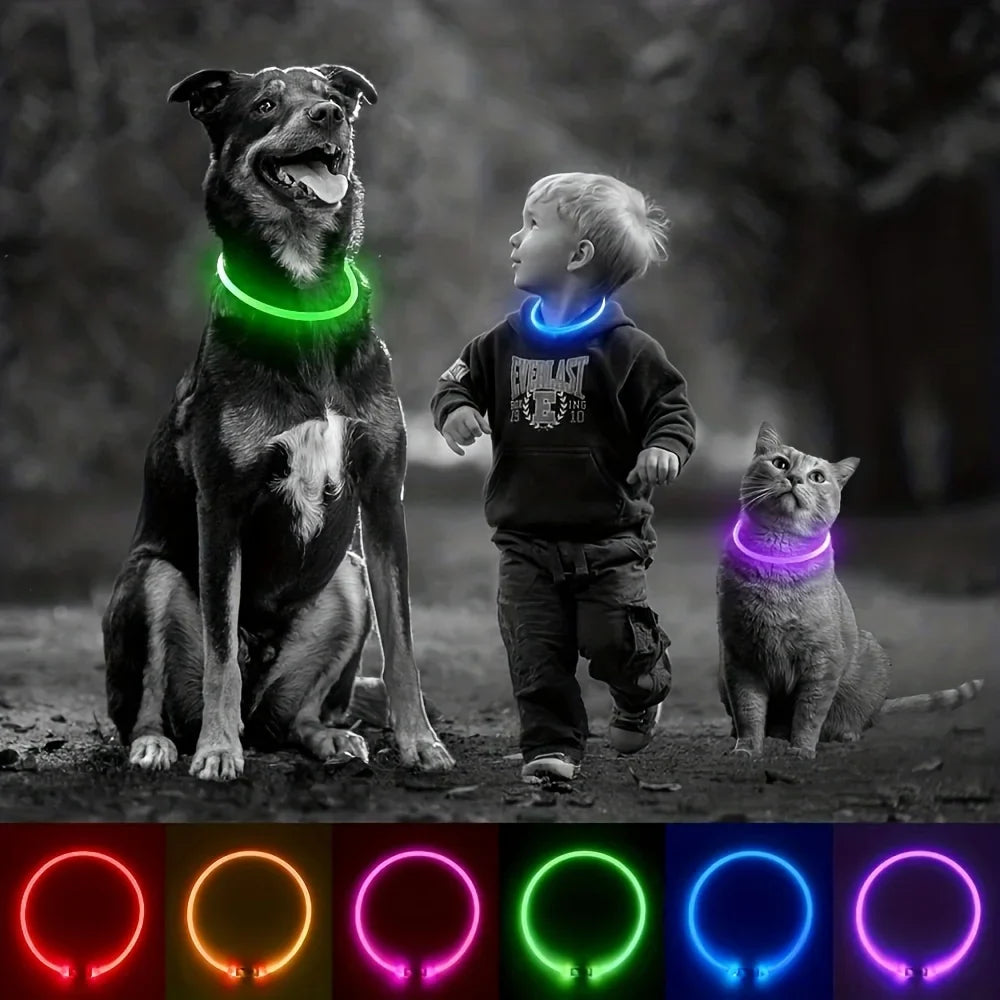 Collar LED Luminoso para Cães - Recarregável e Anti-perda