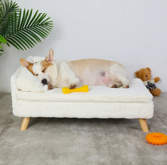 Cama Elevada para Animais de Estimação: Conforto e Ventilação