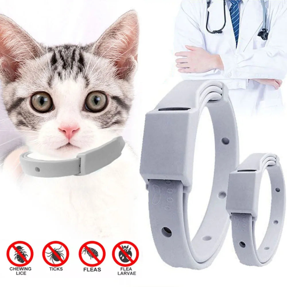 Collar Antiparasitário Ajustável para Gatos e Cães: Proteção de 8 Meses Contra Pulgas e Carrapatos