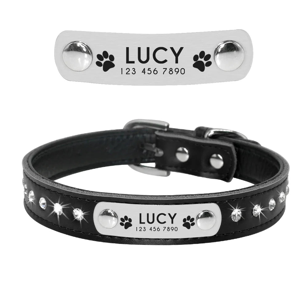 Collar Personalizado para Gatos e Pequenos Pets com Gravação Gratuita - Ajustável e Exclusivo