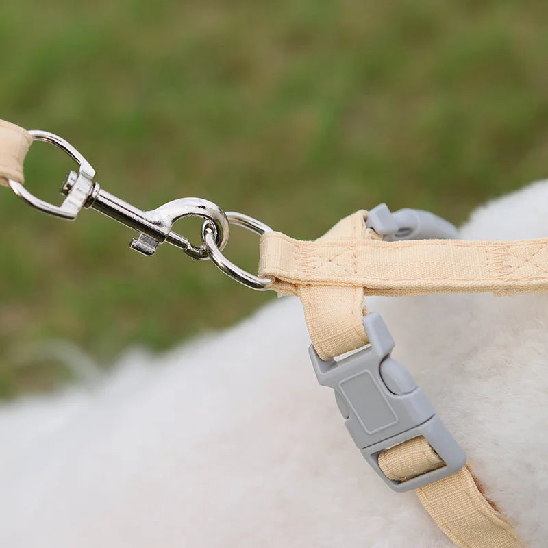 Conjunto de Peitoral e Guia Ajustável para Cachorros Pequenos - Acessórios para Pets