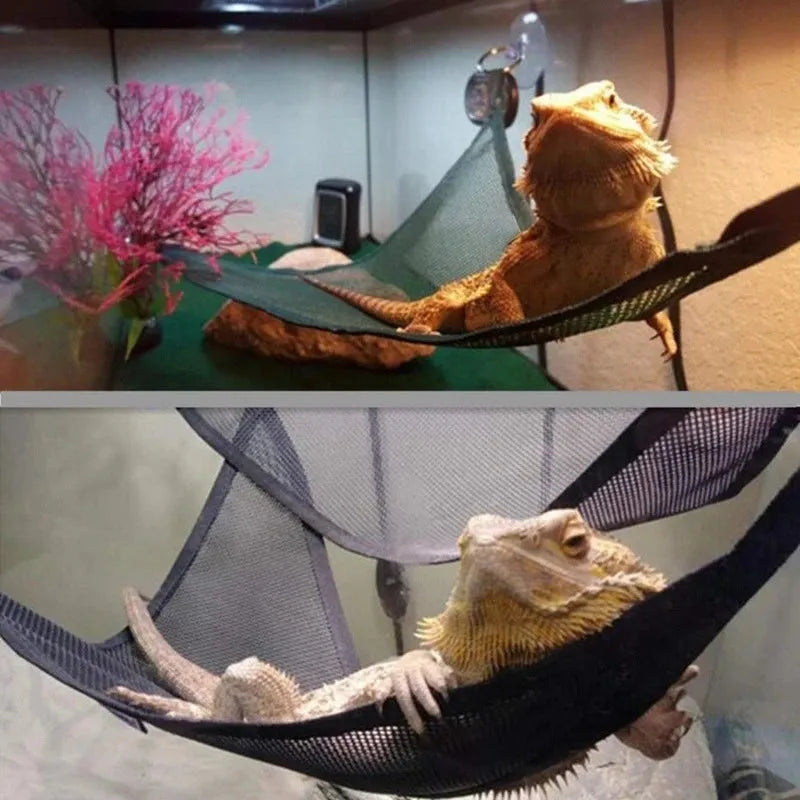 Hammock para Répteis: Estrutura de Escada Ideal para Dragões Barbudos e Gecko