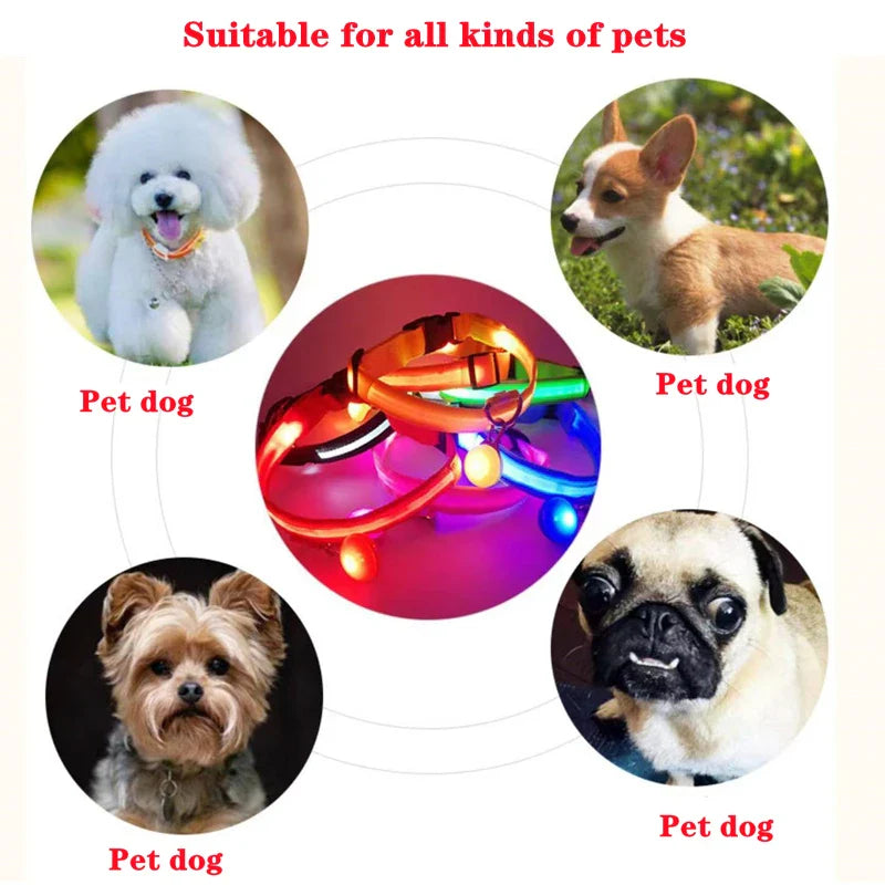 Colar de Cão com LED Carregável USB - Segurança Noturna para Pequenos Animais