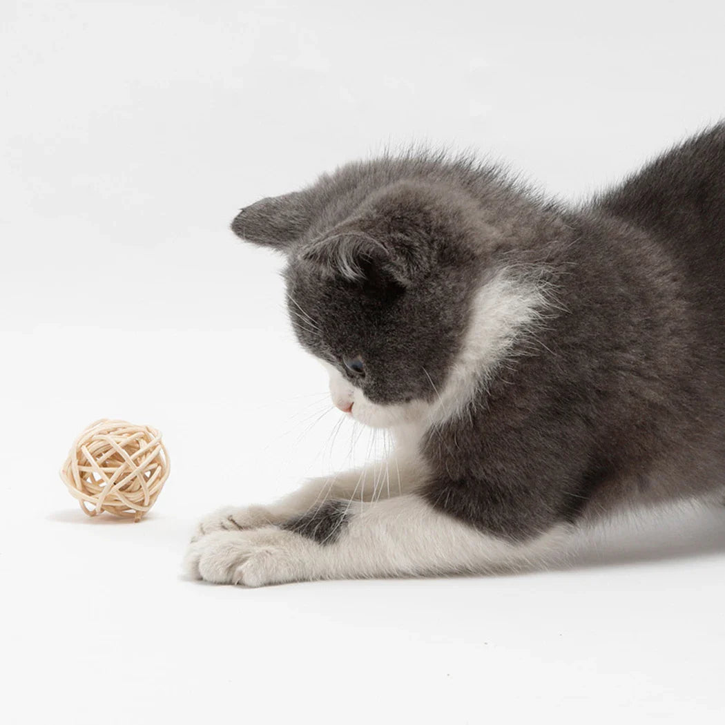 Brinquedo Interativo para Gatos - 2 Bolas de Rattan com penas e sino