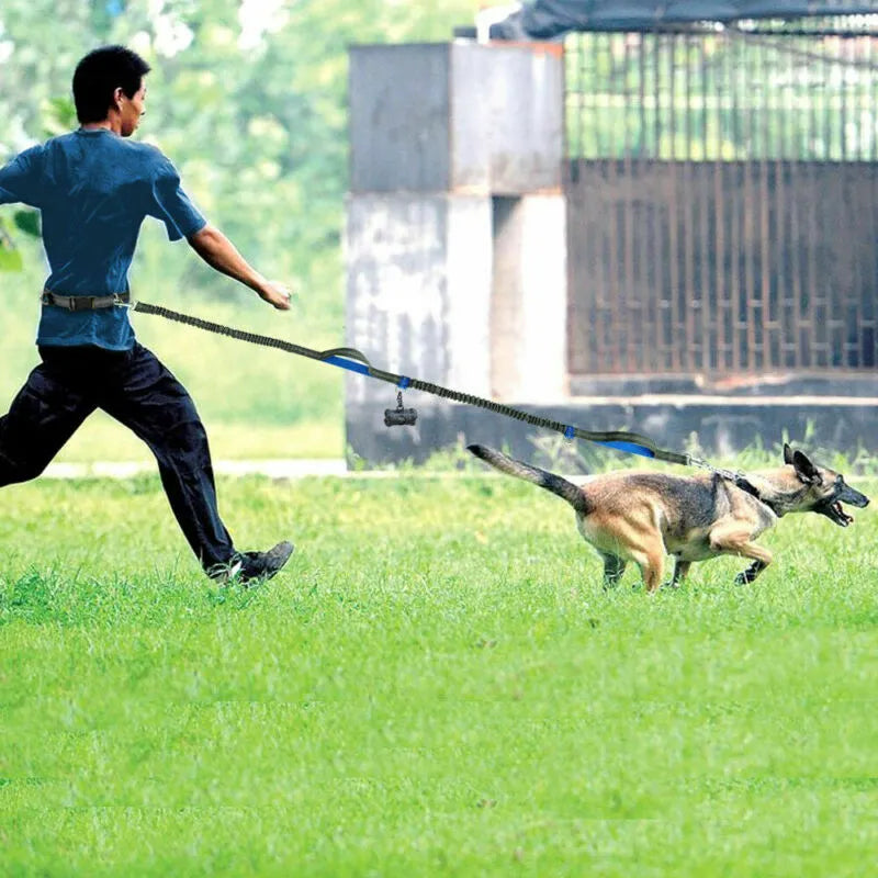 Cinturão Refletivo para Corrida com Cães