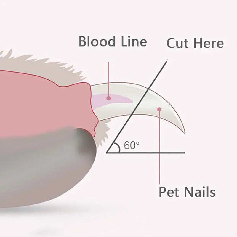 Cortadores de Unhas para Animais com Luz LED - Precisão e Conforto