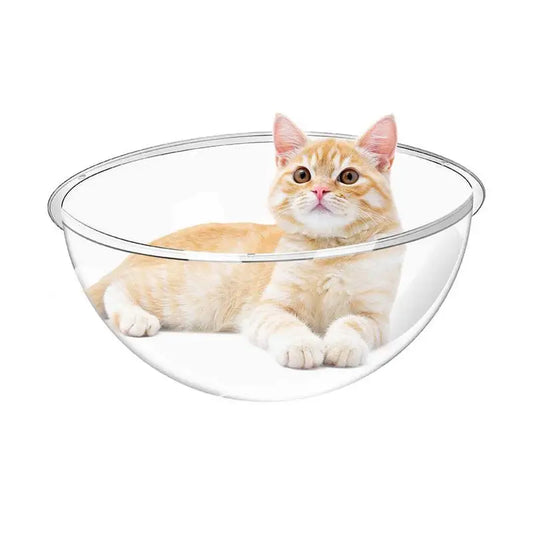 Cama Transparente para Gatos - Conforto e Estilo