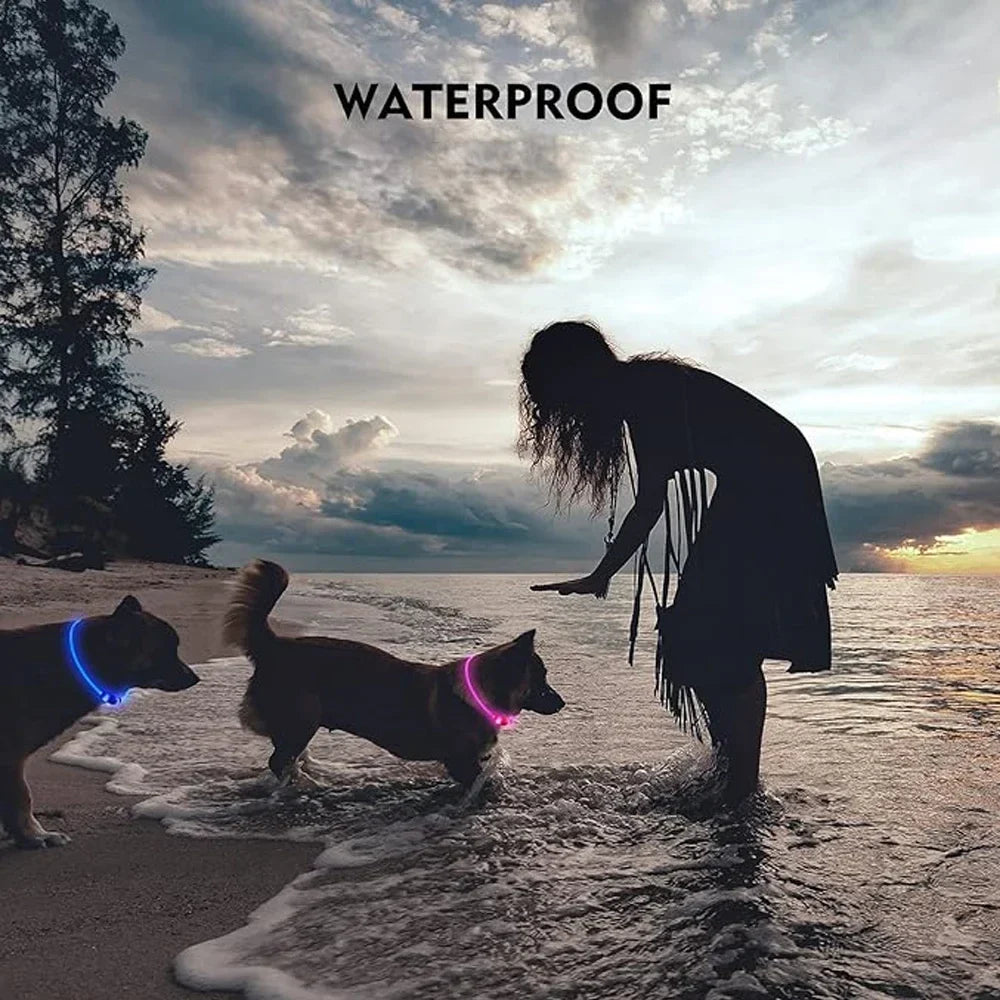 Colar Refletor LED para Cães - Segurança e Visibilidade Noturna