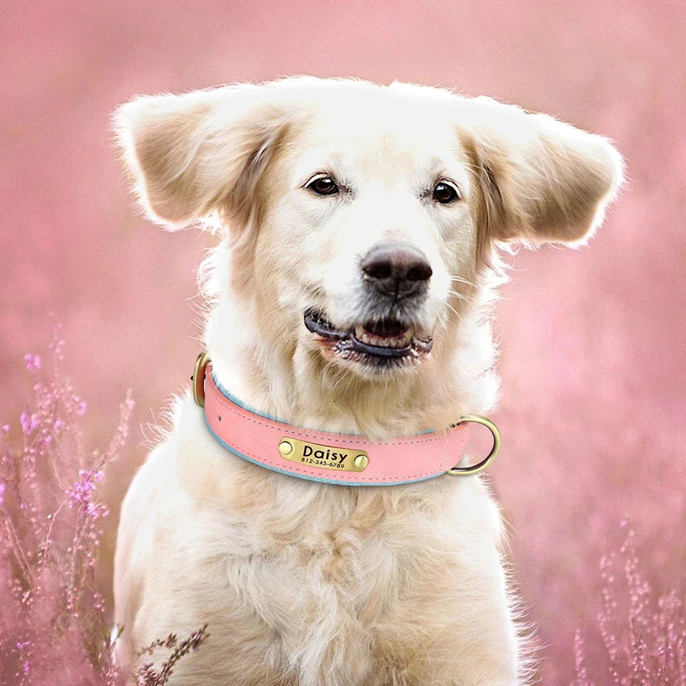 Collar para Cães Personalizado com Gravação