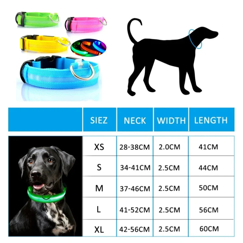 Colar LED Anti-perda para Cães - Iluminação Noturna Recarregável