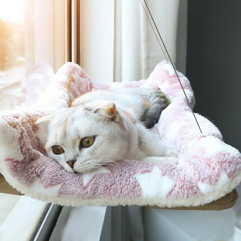 Observatório Confortável para Gatos na Janela