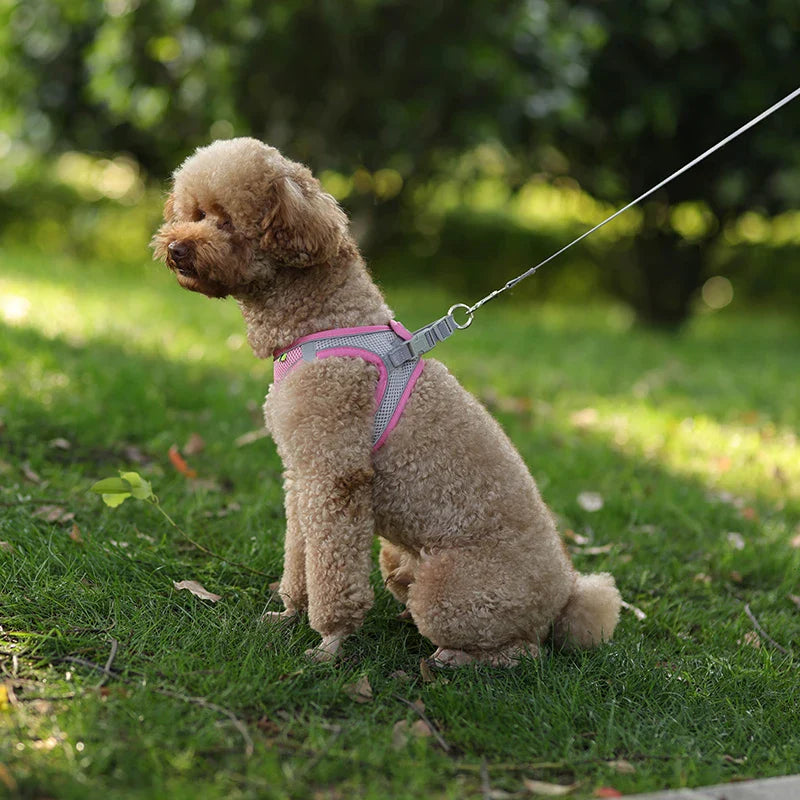 Conjunto de Peitoral e Guia para Cães - Conforto e Segurança