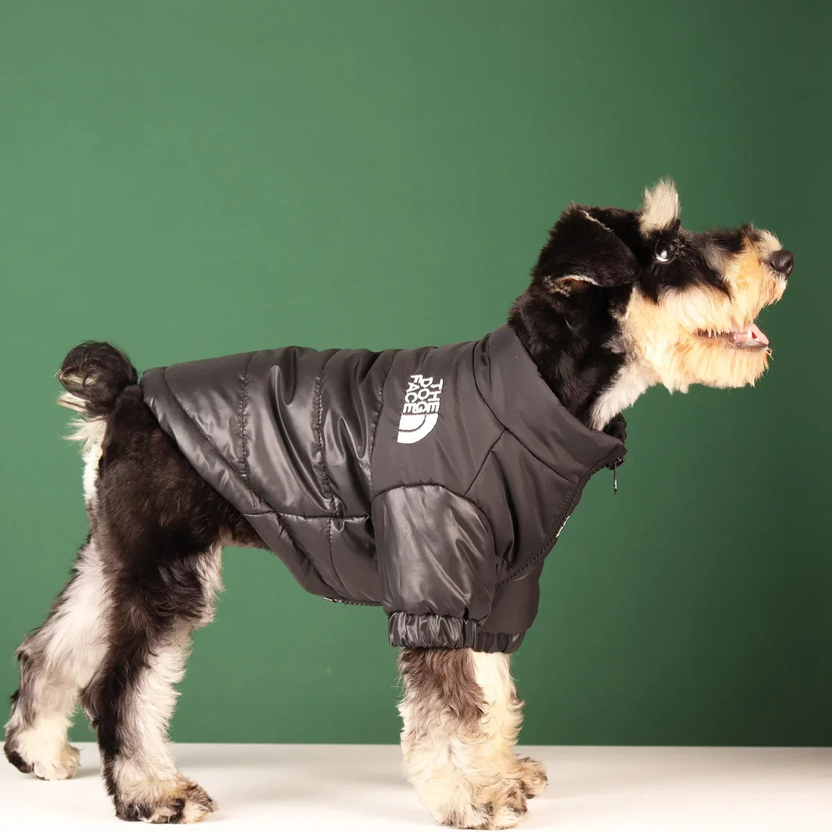 Jaqueta Puffer Aquecida para Cães - Conforto e Estilo