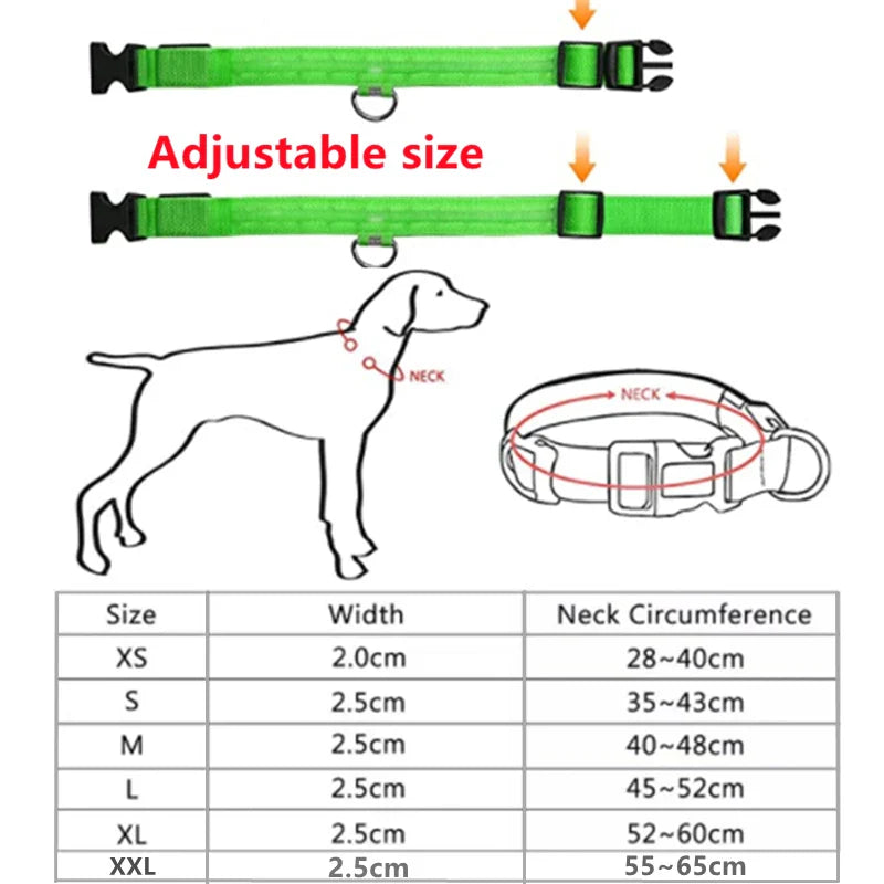 Colar de Cão com LED Carregável USB - Segurança Noturna para Pequenos Animais