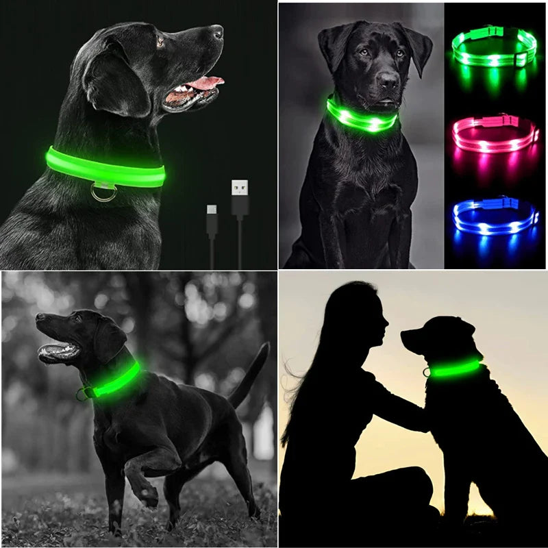 Colar de Cão com LED Carregável USB - Segurança Noturna para Pequenos Animais