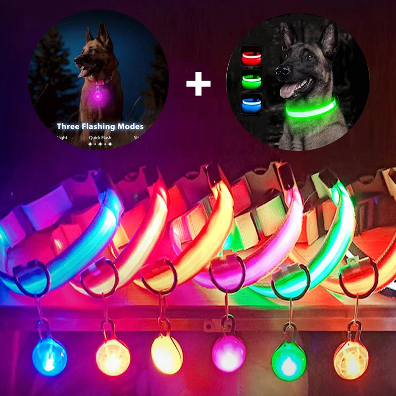 Colar de Cão com LED Carregável USB - Segurança Noturna para Pequenos Animais