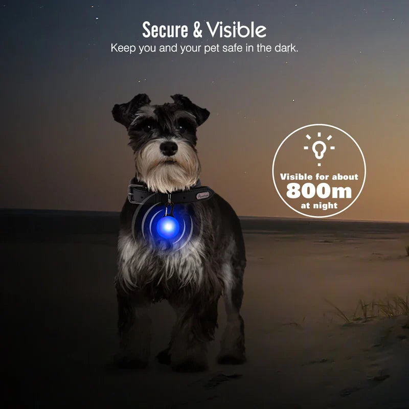 Colar de Cão com LED Carregável USB - Segurança Noturna para Pequenos Animais