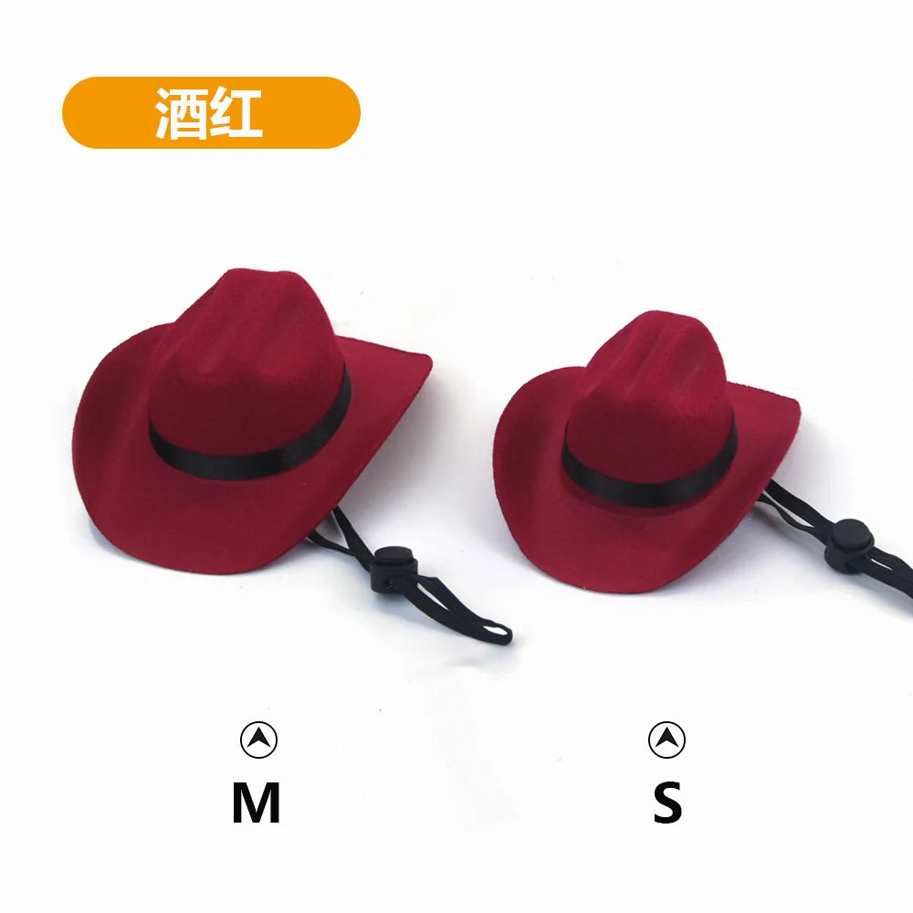 Chapéu de Cowboy para Gatos: Acessório Divertido e Estiloso