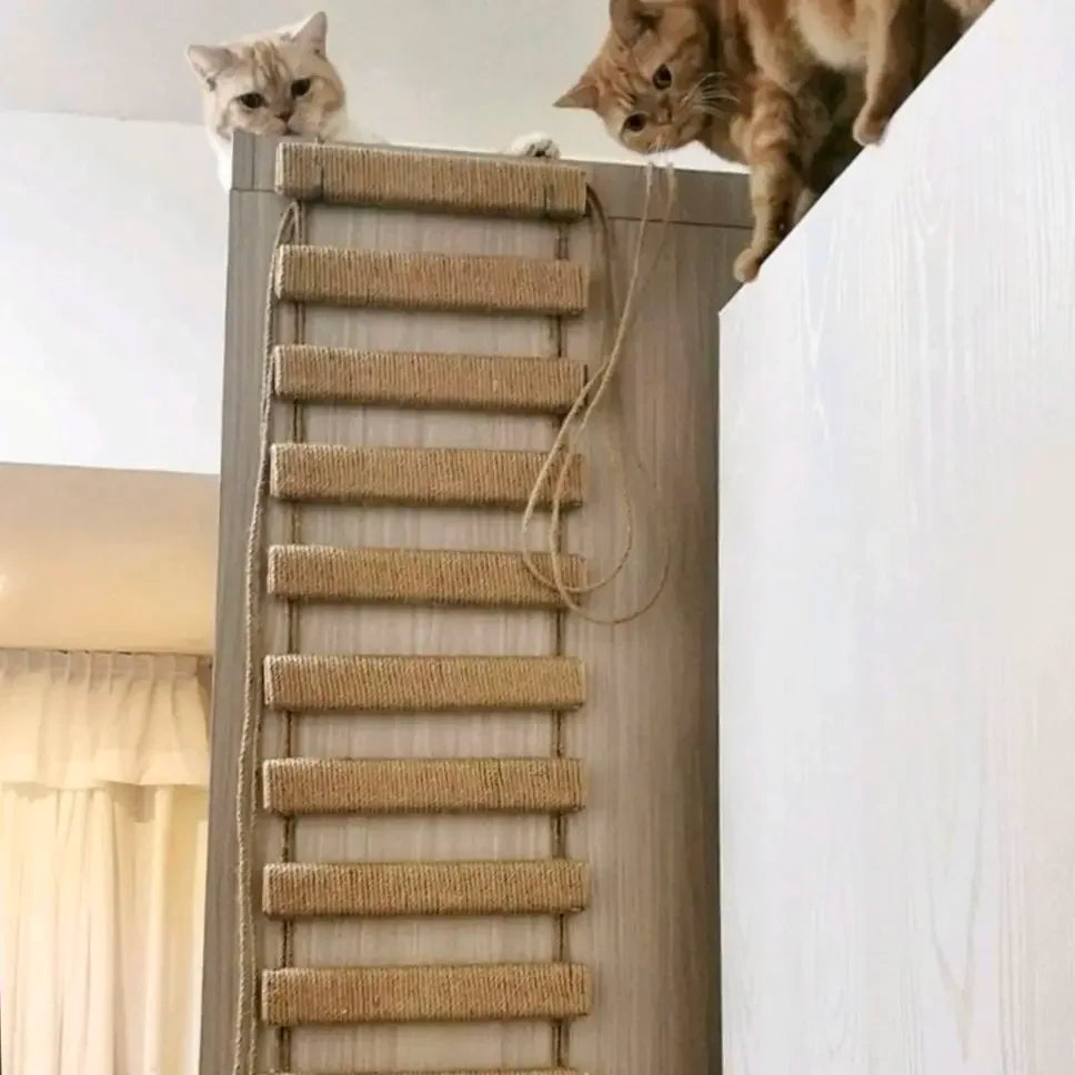 Ponte para Gatos com Escada de Sisal - Móveis para Gatos, Postes de Arranhar e Brinquedos