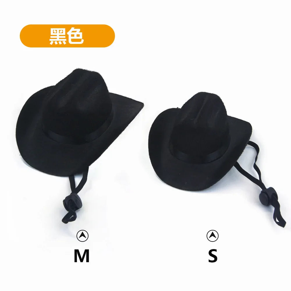 Chapéu de Cowboy para Gatos: Acessório Divertido e Estiloso