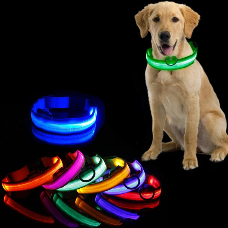 Colar LED Anti-perda para Cães - Iluminação Noturna Recarregável