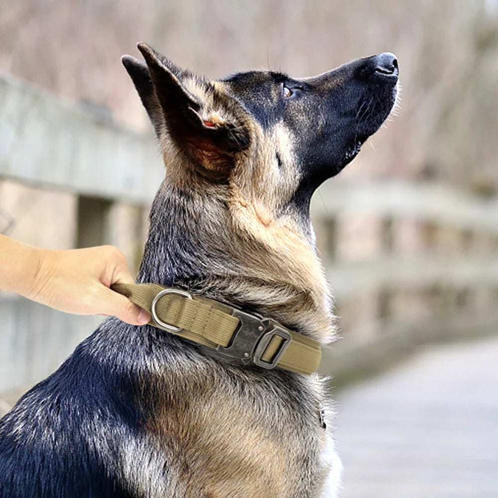 Conjunto de Coleira e Guia Bungee para Cães - Collar Tático de Nylon para Treinamento e Passeio