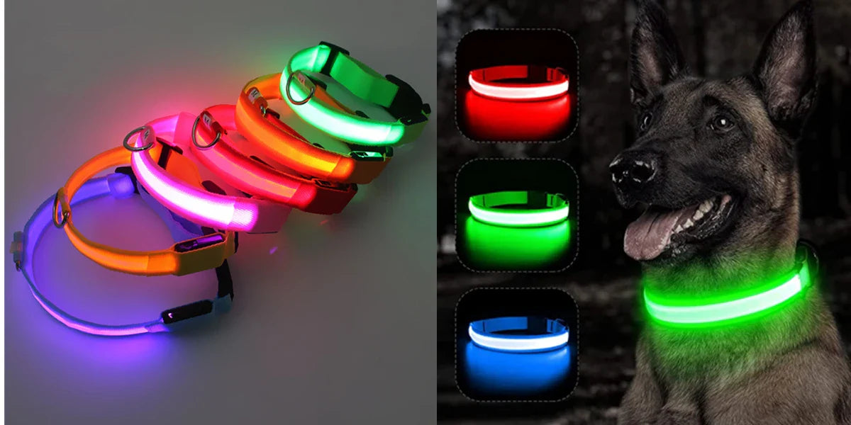 Colar de Cão com LED Carregável USB - Segurança Noturna para Pequenos Animais