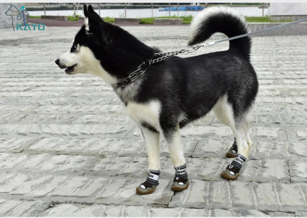 Conjunto de 4 Botas à Prova d'Água para Cães: Calçados Térmicos e Antiderrapantes para Proteger Patas