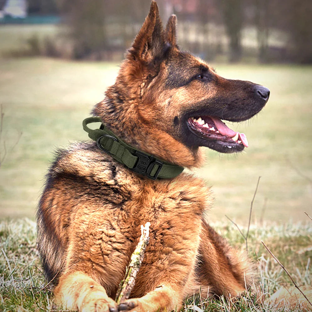 Conjunto de Coleira e Guia Bungee para Cães - Collar Tático de Nylon para Treinamento e Passeio