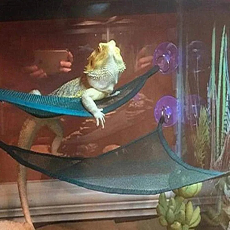 Hammock para Répteis: Estrutura de Escada Ideal para Dragões Barbudos e Gecko