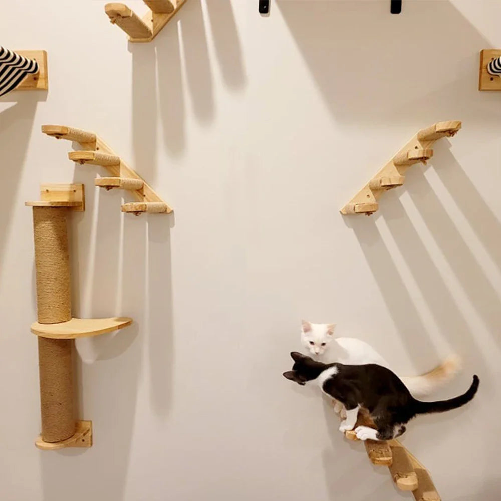 Prateleiras para Gatos de Parede com Poste Arranhador e Escadas para Escalada