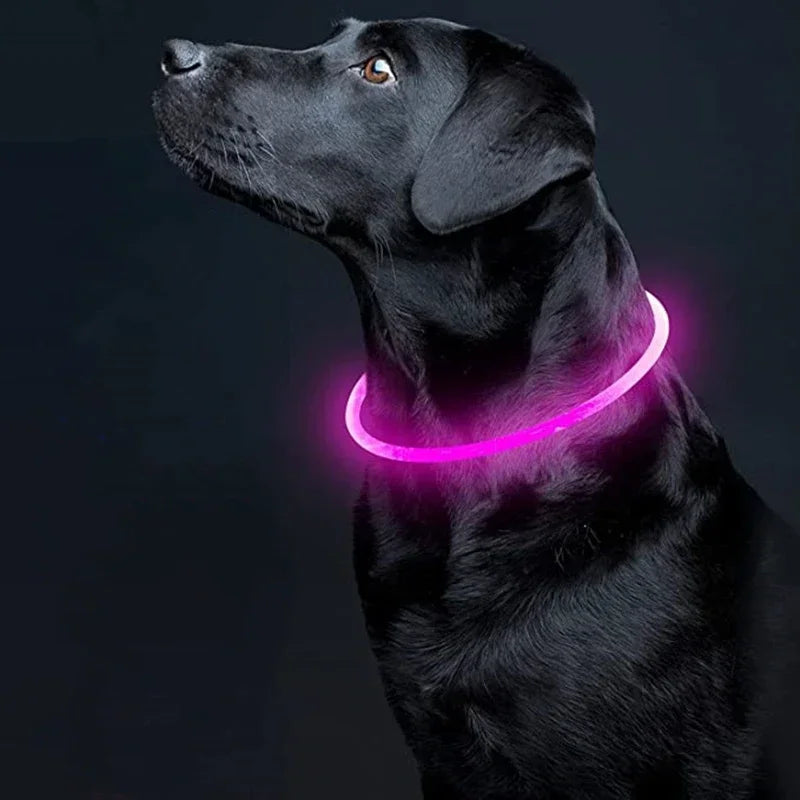 Colar Refletor LED para Cães - Segurança e Visibilidade Noturna