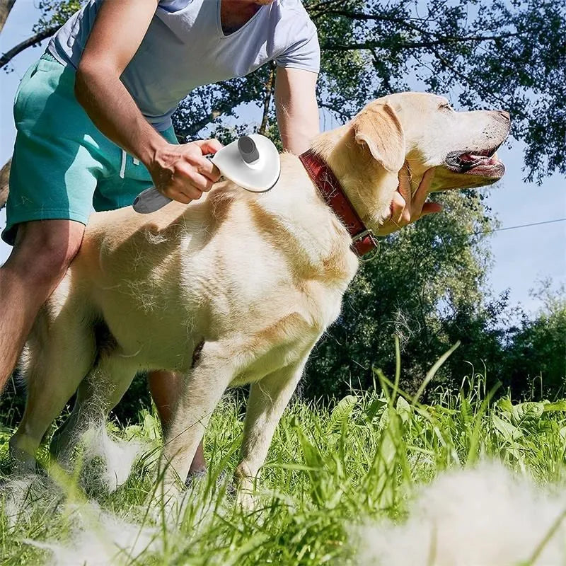 Pente Desembaraçador para Cães - Acessório Ideal para Remover Nós