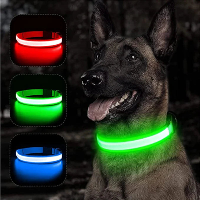 Colar de Cão com LED Carregável USB - Segurança Noturna para Pequenos Animais