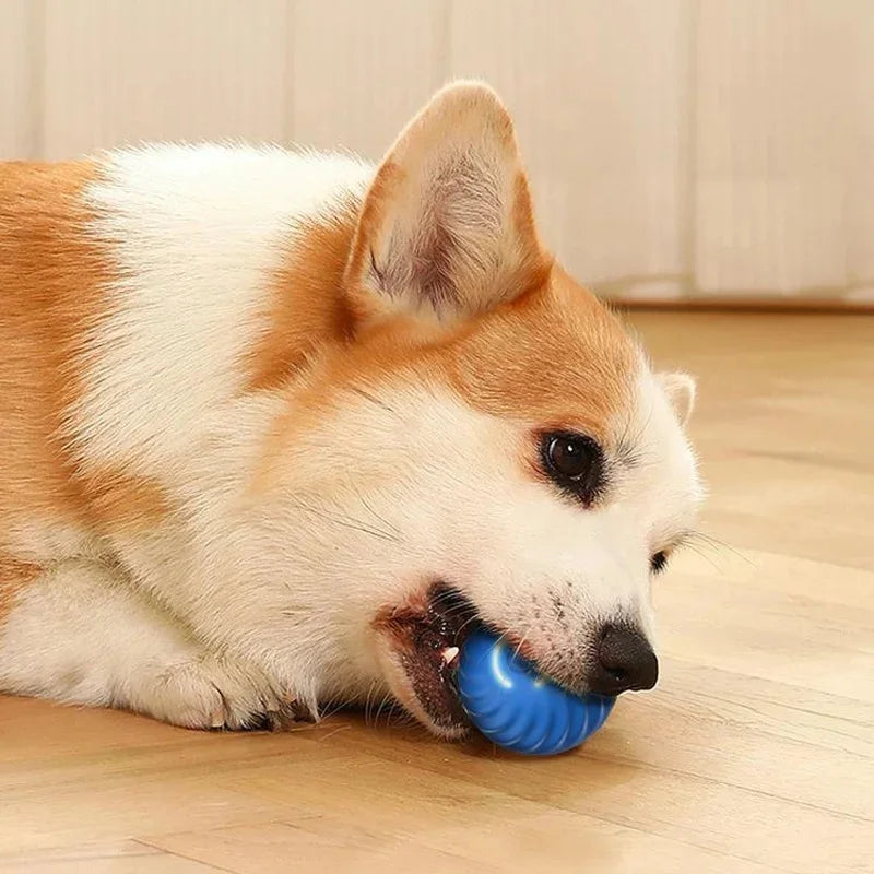 Bola Interativa para Pets: Brinquedo Eletrônico Automático para Cachorros e Gatos