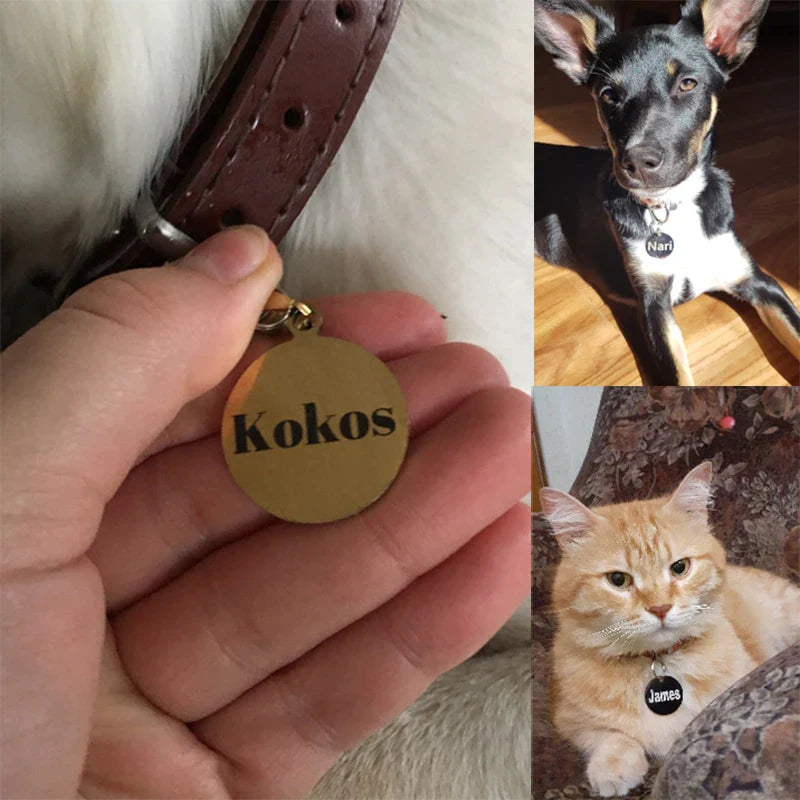 Tag de Identificação Personalizada para Gatos e Cachorros - Colar com Pendante Gravado