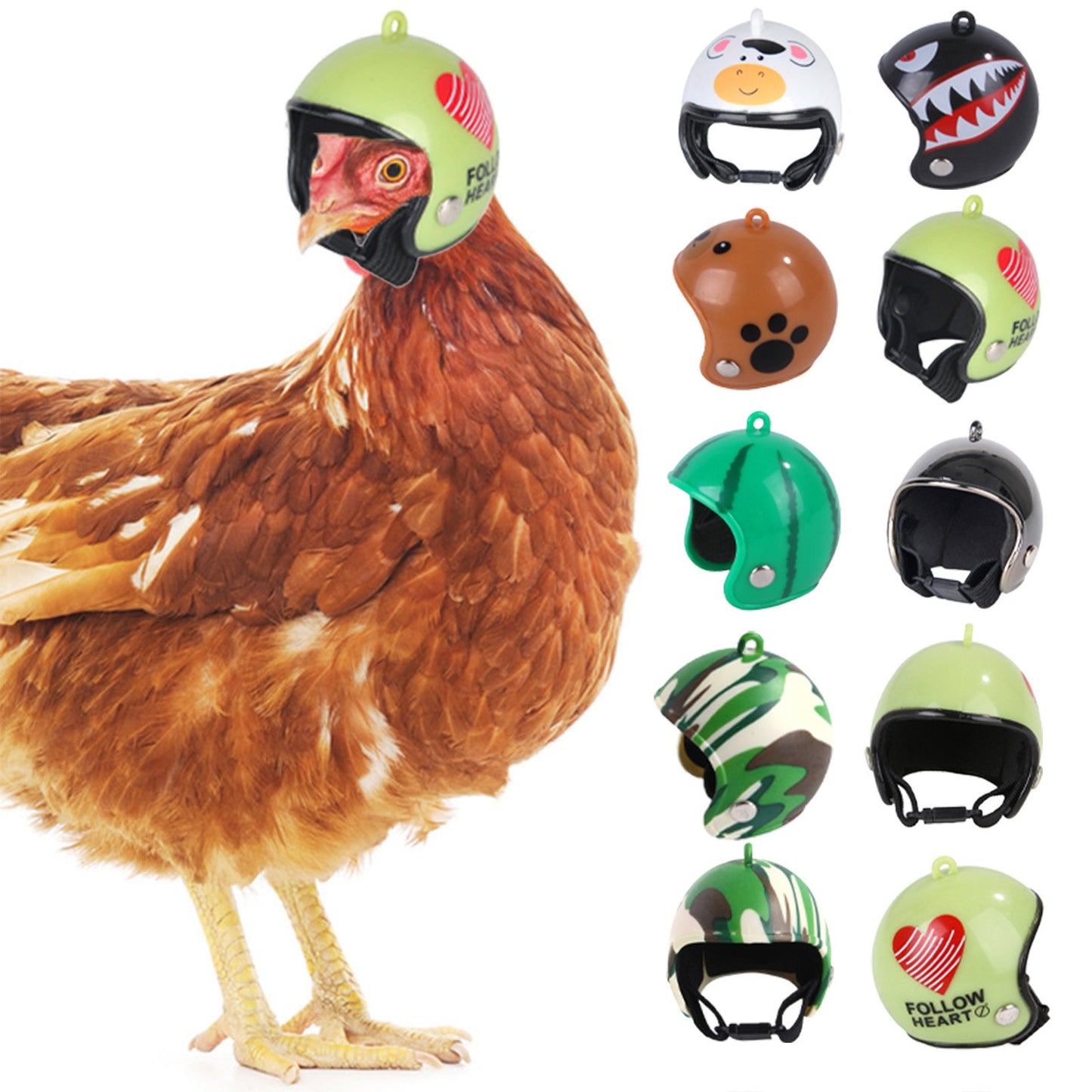 Capacete Protetor para Galinhas – Segurança e Conforto para Aves