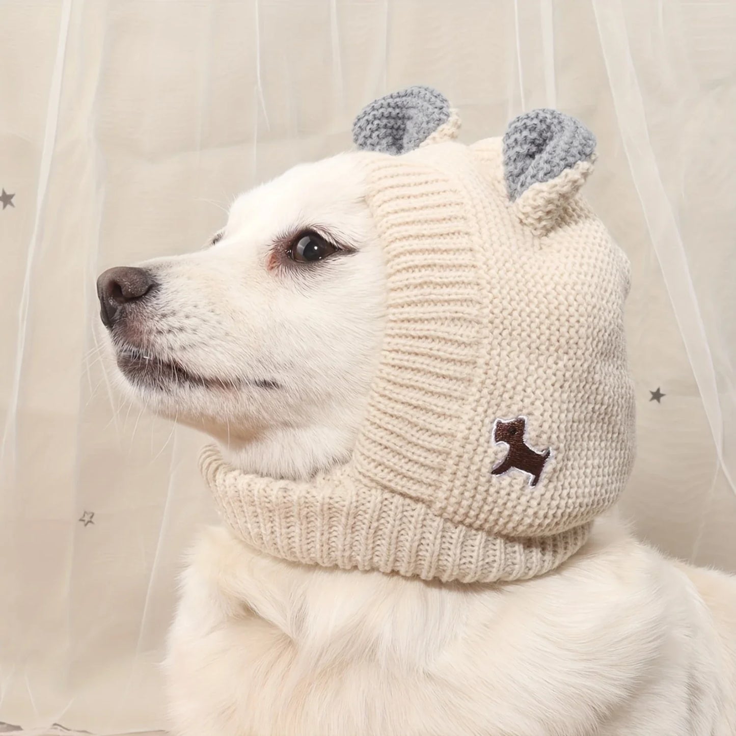 Mantenha Seu Cão Quente e Aconchegante Neste Inverno