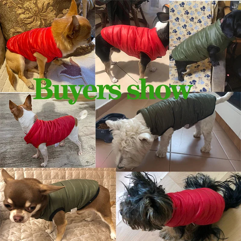 Colete Aquecido para Cães Pequenos e Médios - Roupas de Inverno Confortáveis