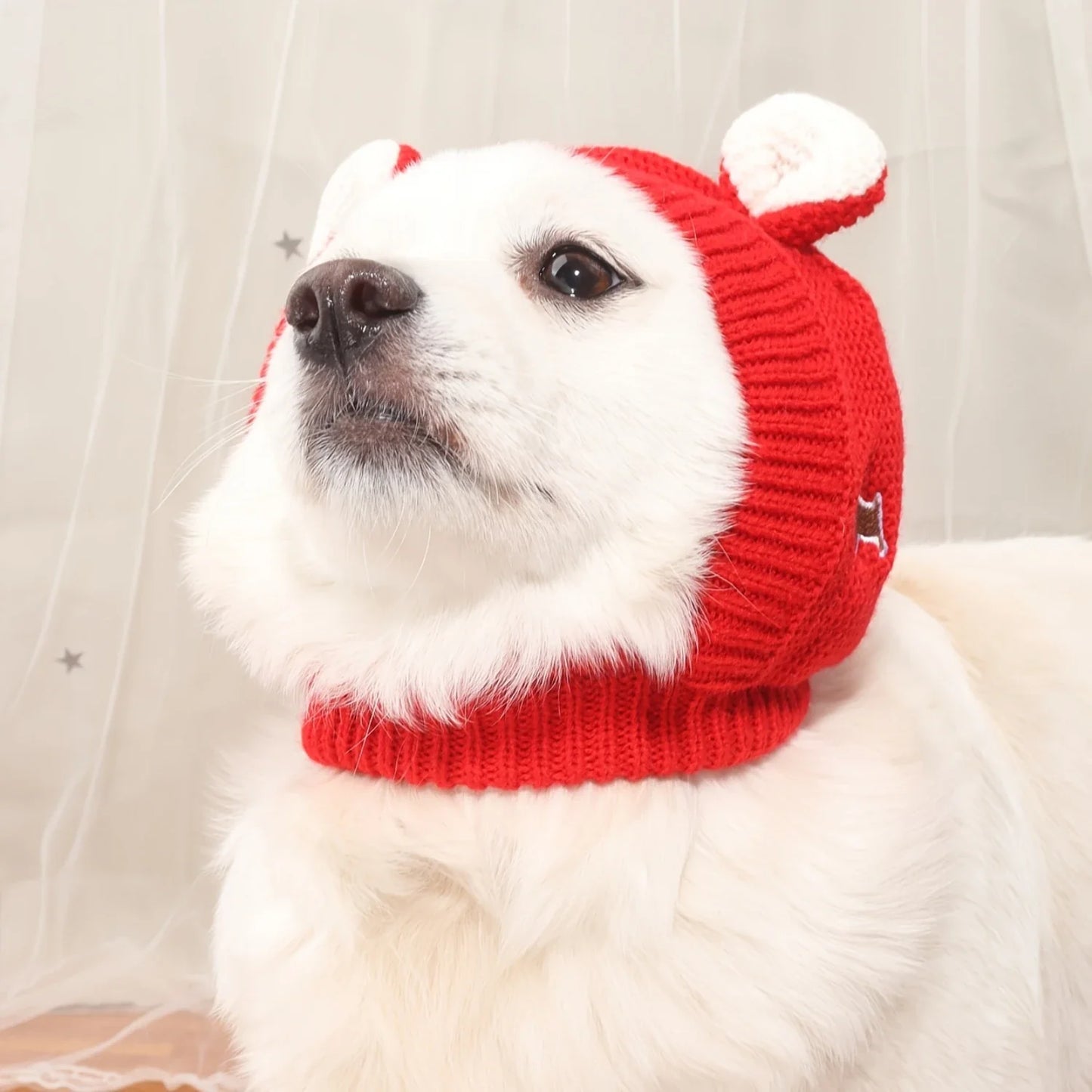 Mantenha Seu Cão Quente e Aconchegante Neste Inverno