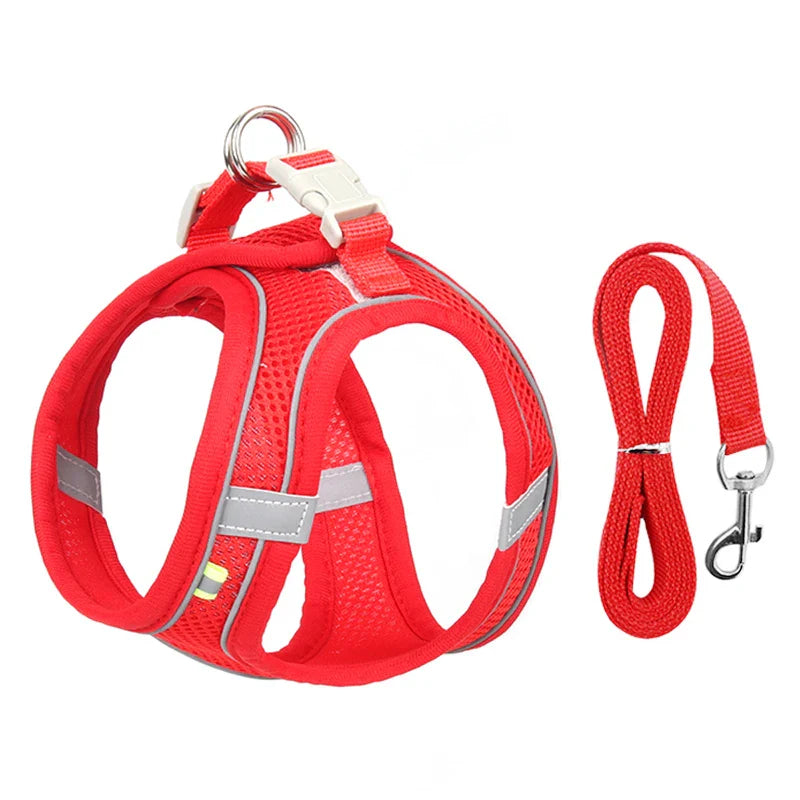 Conjunto de Peitoral e Guia para Cães - Conforto e Segurança