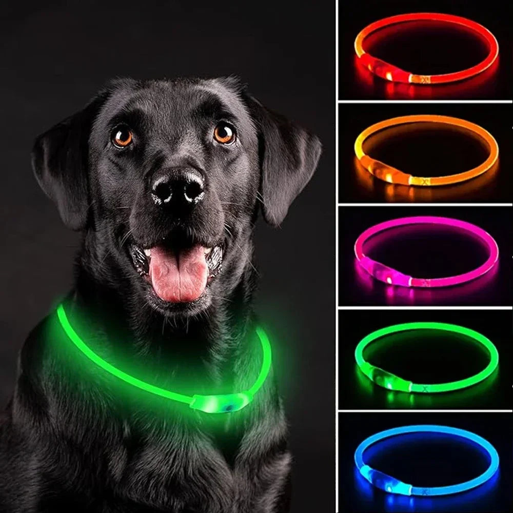 Colar Refletor LED para Cães - Segurança e Visibilidade Noturna