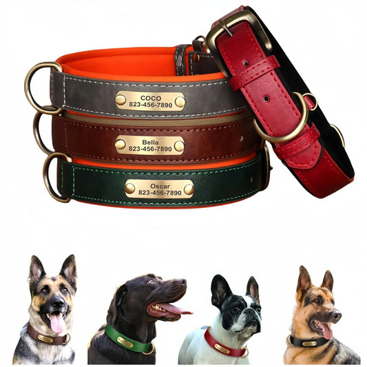 Collar para Cães Personalizado com Gravação