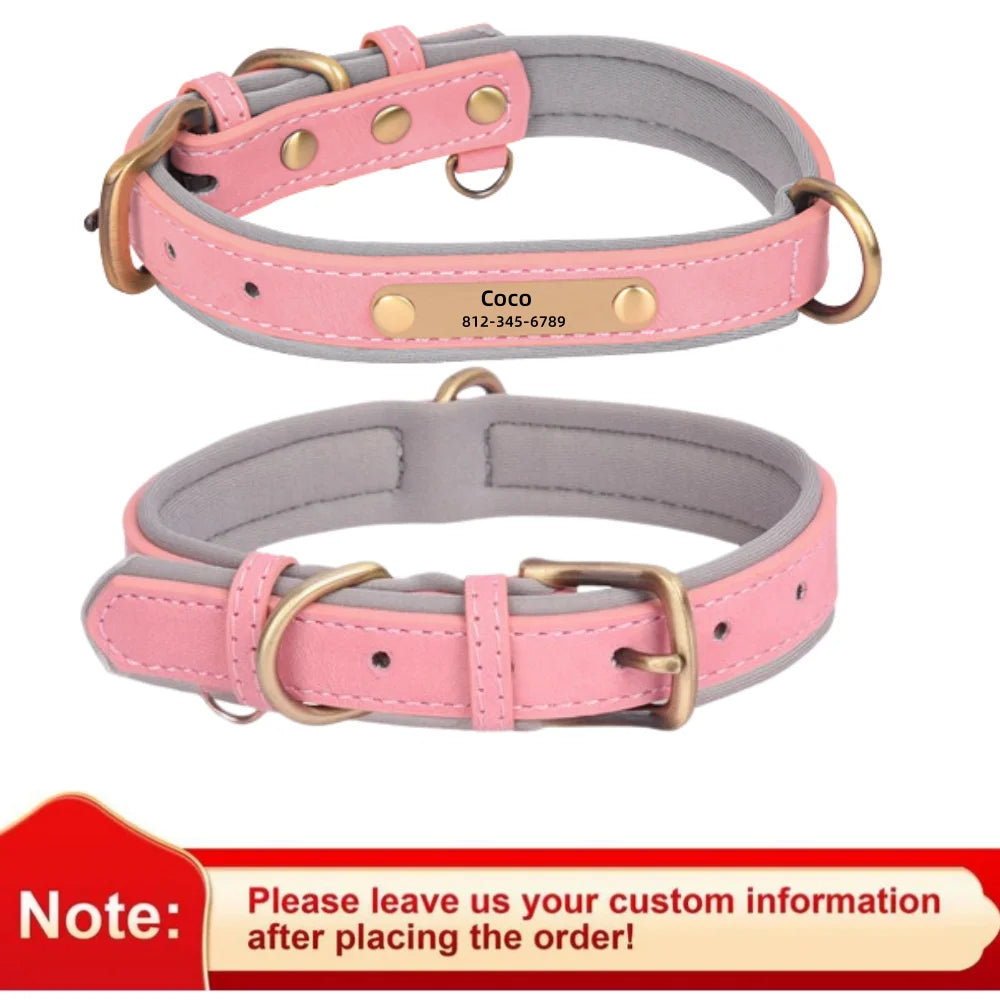 Collar de Cão de Couro Personalizado com Identificação - Ajustável e Almofadado