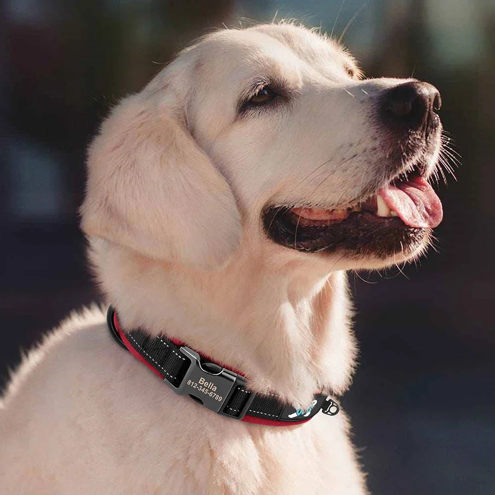 Collar Personalizado para Cães Ajustável com Tag de ID Gravada e Refletivo - Conforto e Segurança