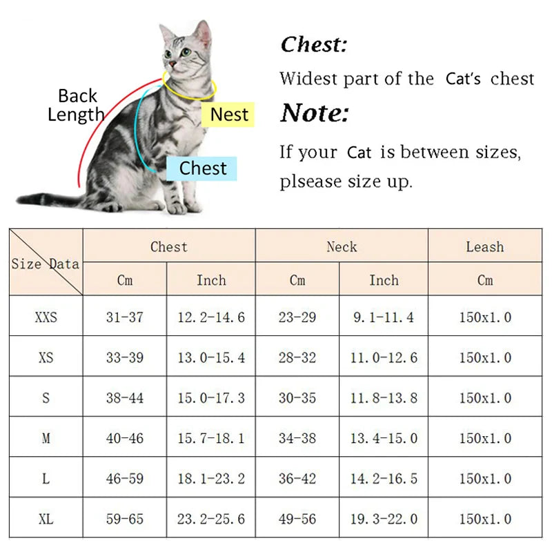 Conjunto de Coleira e Peitoral Reflexivo e Aconchegante para Gatos e Cães Pequenos