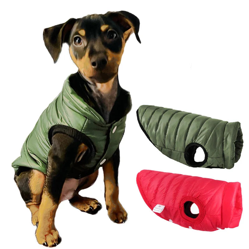 Colete Aquecido para Cães Pequenos e Médios - Roupas de Inverno Confortáveis